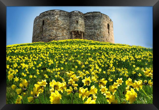Cliffords Tower, York Framed Print by Alison Chambers