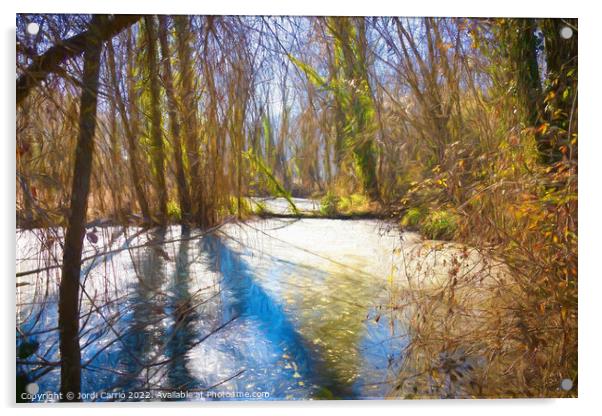La Moixina wetlands in winter, La Garrotxa - 1 - Acrylic by Jordi Carrio
