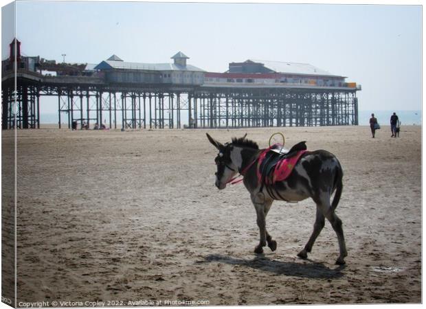 Donkeys at Blackpool Canvas Print by Victoria Copley