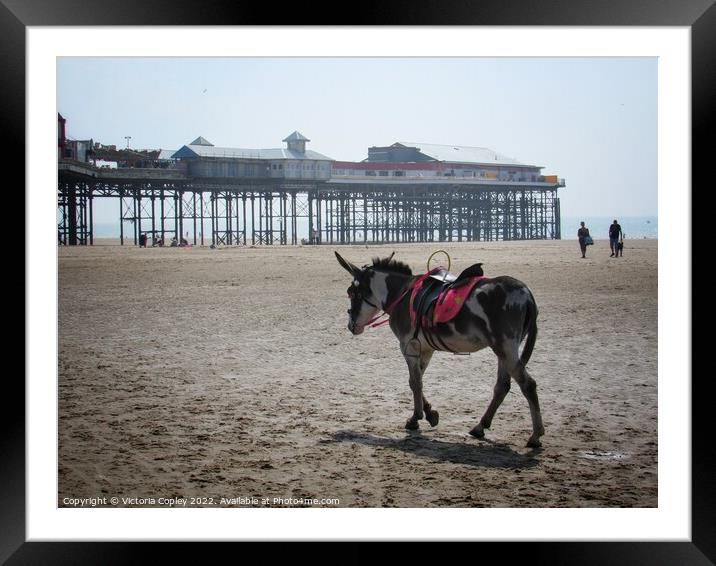 Donkeys at Blackpool Framed Mounted Print by Victoria Copley