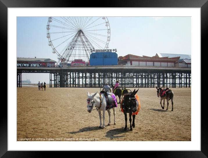 Donkeys on Blackpool beach Framed Mounted Print by Victoria Copley