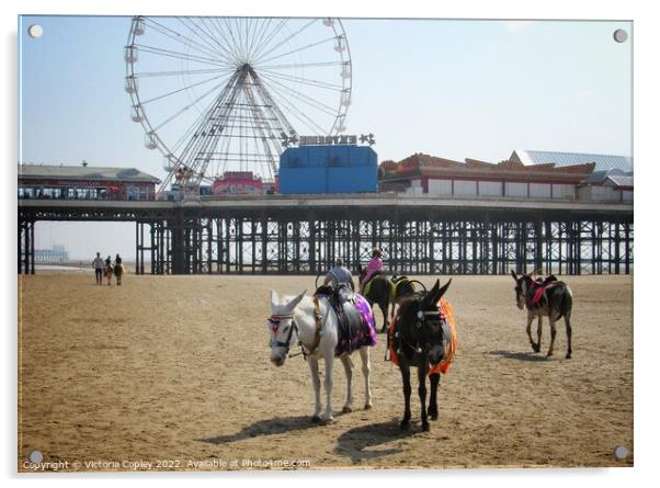 Donkeys on Blackpool beach Acrylic by Victoria Copley
