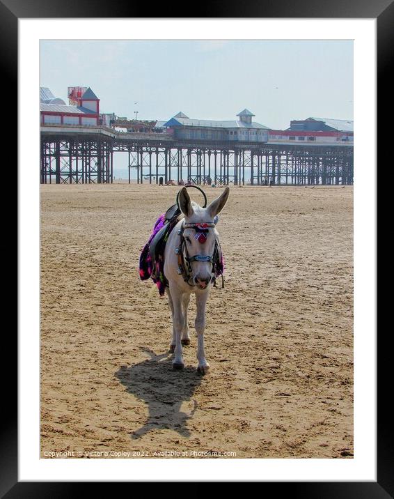 Donkey on Blackpool beach Framed Mounted Print by Victoria Copley
