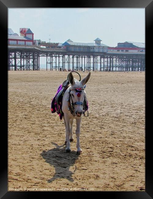 Donkey on Blackpool beach Framed Print by Victoria Copley