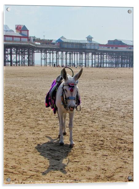 Donkey on Blackpool beach Acrylic by Victoria Copley