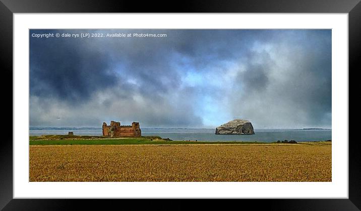 2 4 1 or 2 for 1 Framed Mounted Print by dale rys (LP)