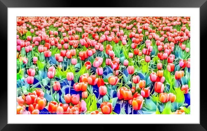 Serene Spring Tulip Fields Framed Mounted Print by Beryl Curran