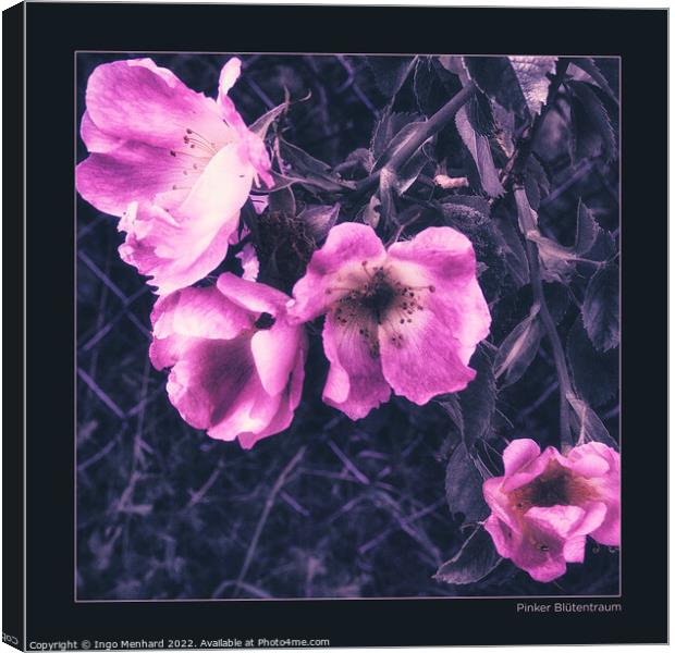 Pink blossom dream Canvas Print by Ingo Menhard