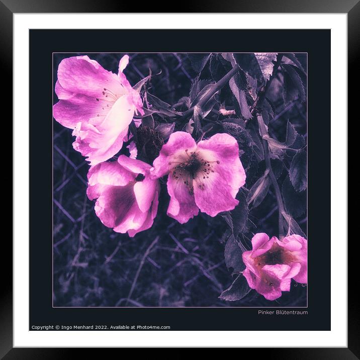 Pink blossom dream Framed Mounted Print by Ingo Menhard