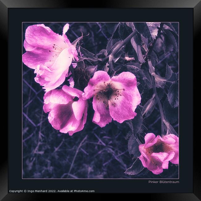 Pink blossom dream Framed Print by Ingo Menhard