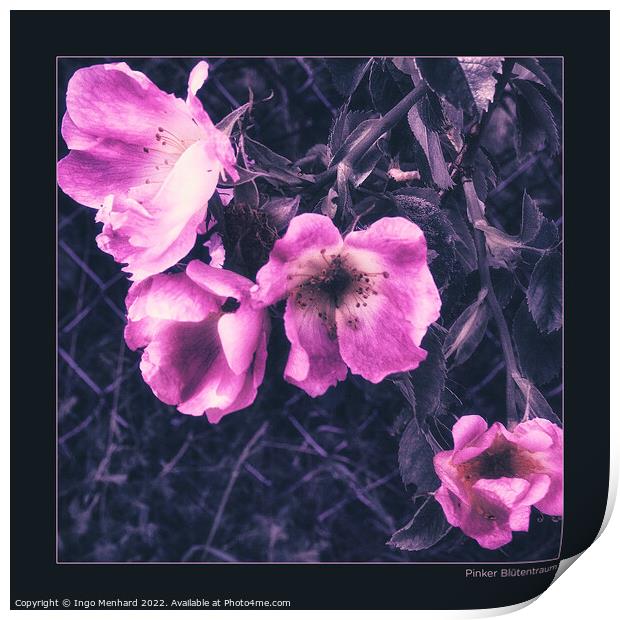 Pink blossom dream Print by Ingo Menhard