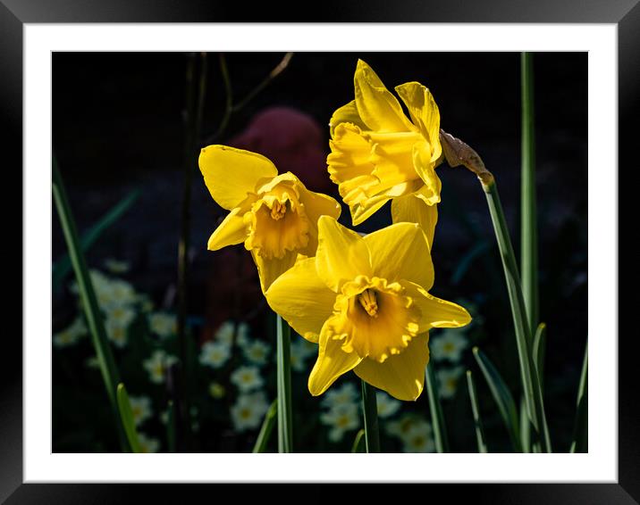 The glory of Spring Framed Mounted Print by Gerry Walden LRPS