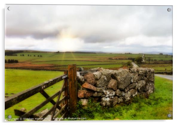 Dartmoor Landscape Acrylic by Stephen Hamer