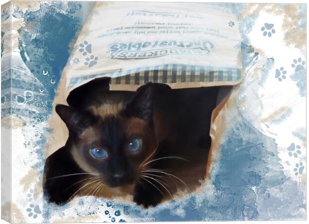 Don't Let the Cat Out of the Bag Canvas Print by Donna Kennedy