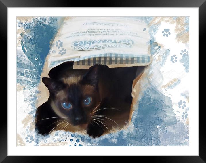 Don't Let the Cat Out of the Bag Framed Mounted Print by Donna Kennedy