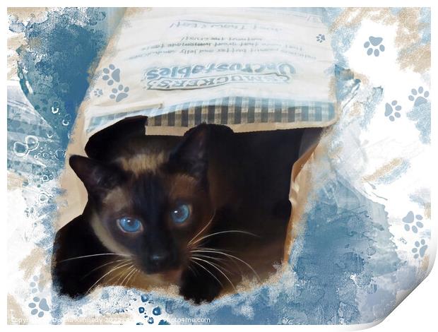 Don't Let the Cat Out of the Bag Print by Donna Kennedy