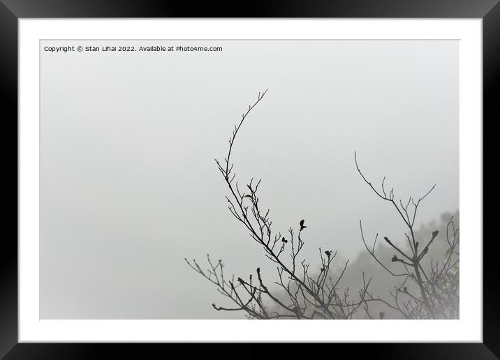 Tree branch on foggy background Framed Mounted Print by Stan Lihai