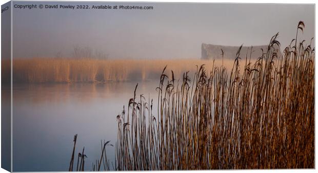 Clearing Mist Over Horsey Mere Canvas Print by David Powley