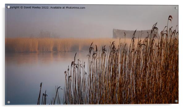 Clearing Mist Over Horsey Mere Acrylic by David Powley