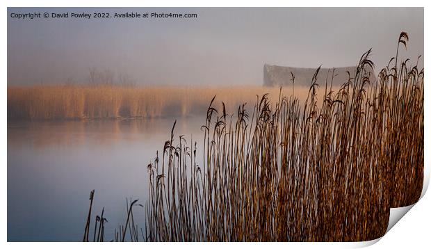 Clearing Mist Over Horsey Mere Print by David Powley