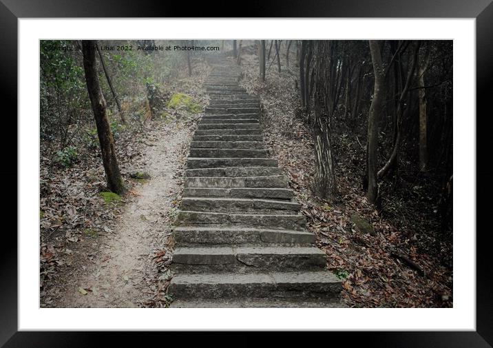 Stone stairs in foggy forest Framed Mounted Print by Stan Lihai