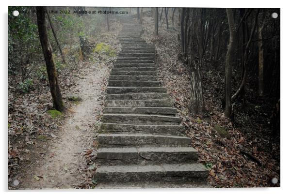 Stone stairs in foggy forest Acrylic by Stan Lihai