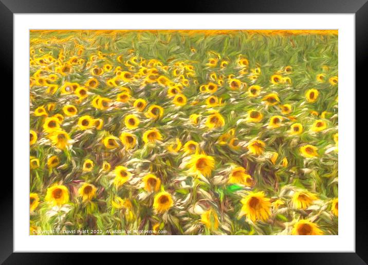 Sunflower Summer Breeze Art Framed Mounted Print by David Pyatt