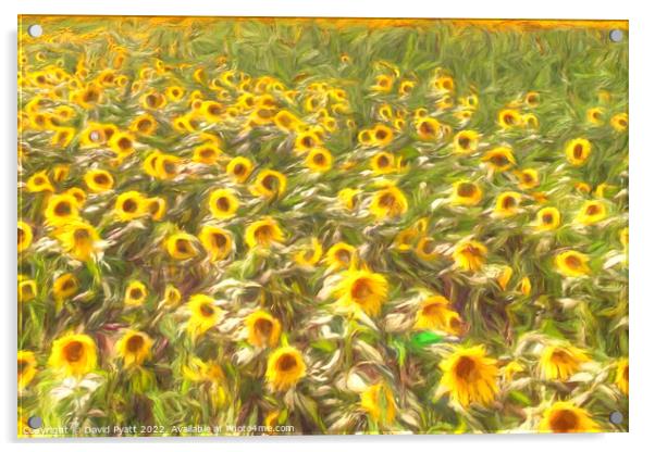Sunflower Summer Breeze Art Acrylic by David Pyatt