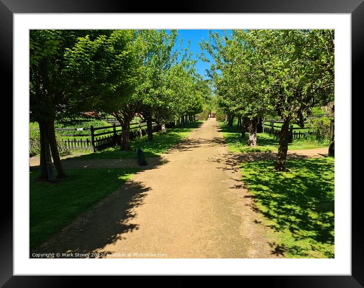 Beautiful path Framed Mounted Print by Mark Storey