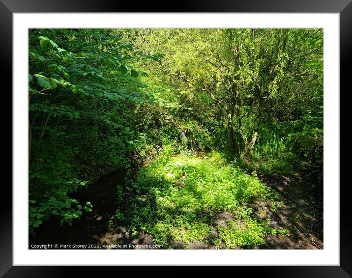 In to the forest we go Framed Mounted Print by Mark Storey