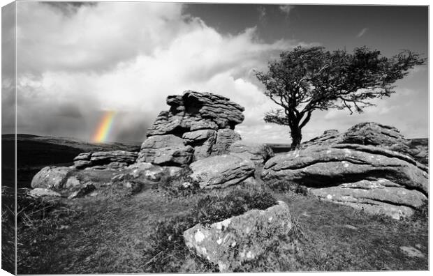 Tor, Tree and Rainbow Canvas Print by David Neighbour