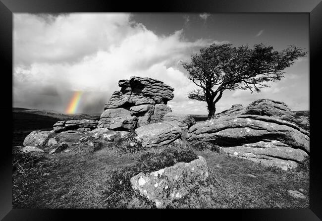 Tor, Tree and Rainbow Framed Print by David Neighbour