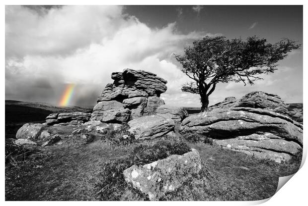 Tor, Tree and Rainbow Print by David Neighbour