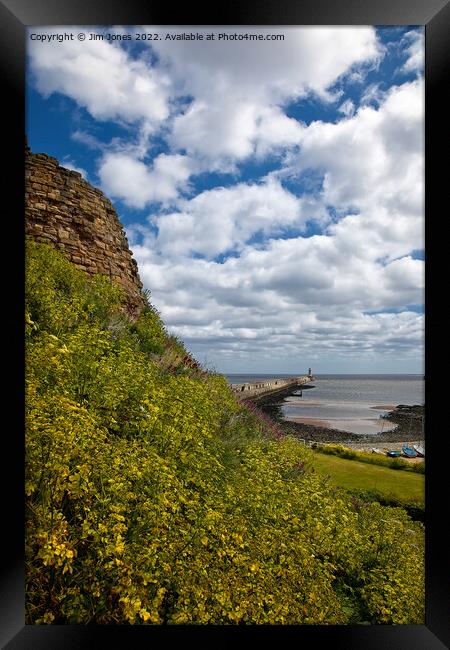 Tynemouth Castle and Pier Framed Print by Jim Jones