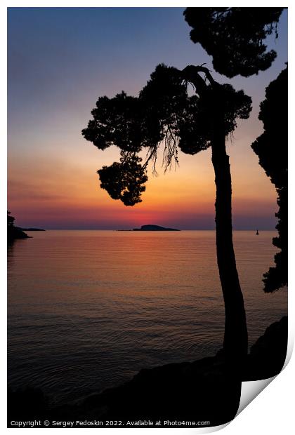 Pine trees on a sunset time in a coast of sea Print by Sergey Fedoskin