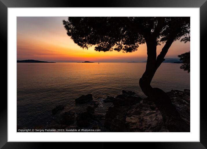 Pine trees on a sunset time in a coast of sea Framed Mounted Print by Sergey Fedoskin