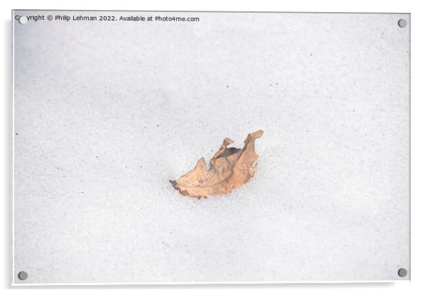 The Lonely Leaf (6) Acrylic by Philip Lehman