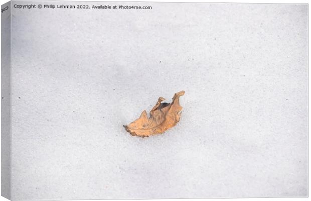 The Lonely Leaf (2) Canvas Print by Philip Lehman