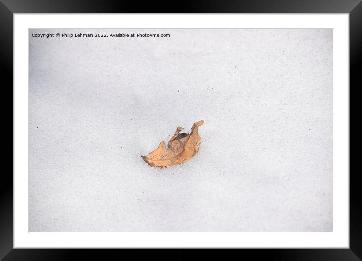 The Lonely Leaf (2) Framed Mounted Print by Philip Lehman