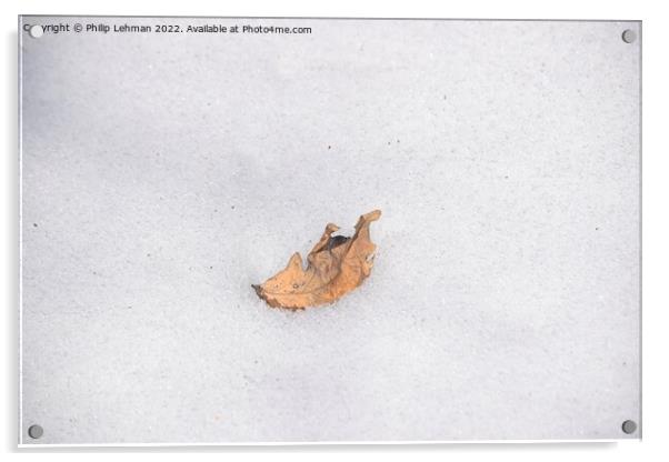 The Lonely Leaf (2) Acrylic by Philip Lehman