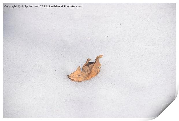 The Lonely Leaf (2) Print by Philip Lehman