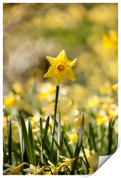 Outdoor field Print by Simon Johnson