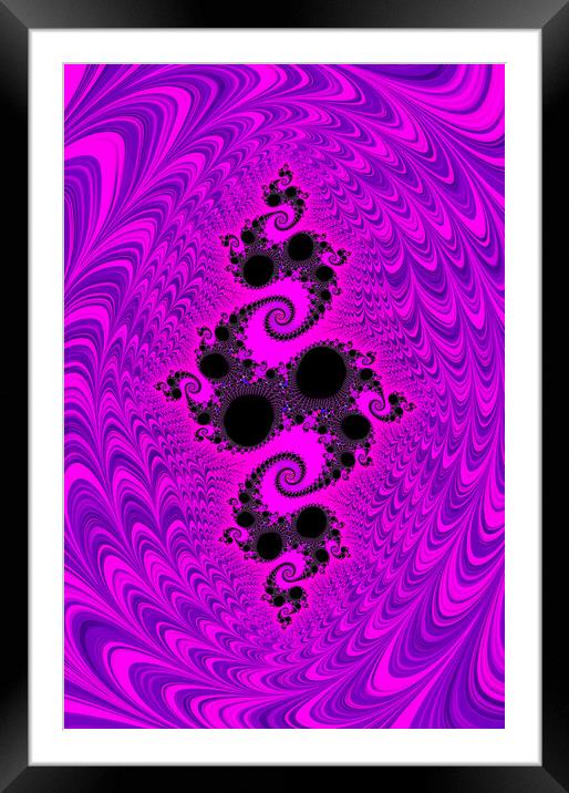 Purple Wonder Framed Mounted Print by Vickie Fiveash
