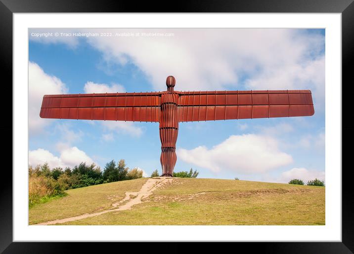 The Angel Of The North Framed Mounted Print by Traci Habergham