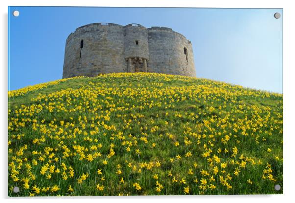 Cliffords Tower, York in Spring Acrylic by Darren Galpin