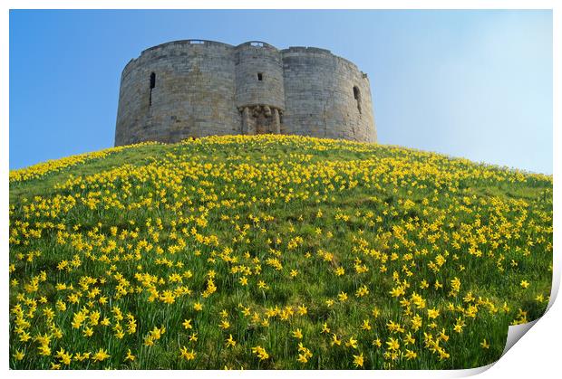 Cliffords Tower, York in Spring Print by Darren Galpin