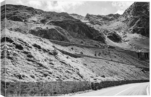 Black and white Transfagarasan road Canvas Print by Veronika Druzhnieva