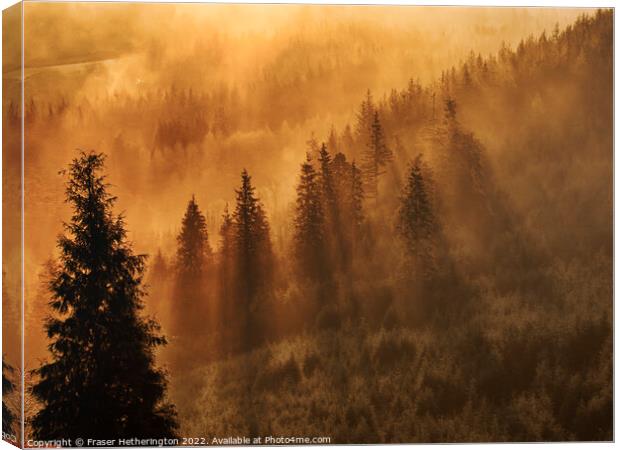 Morning Mist Canvas Print by Fraser Hetherington