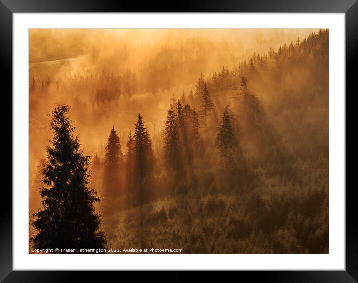 Morning Mist Framed Mounted Print by Fraser Hetherington
