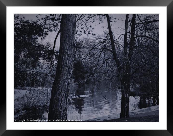 Howard park evening Framed Mounted Print by Rachael Smith